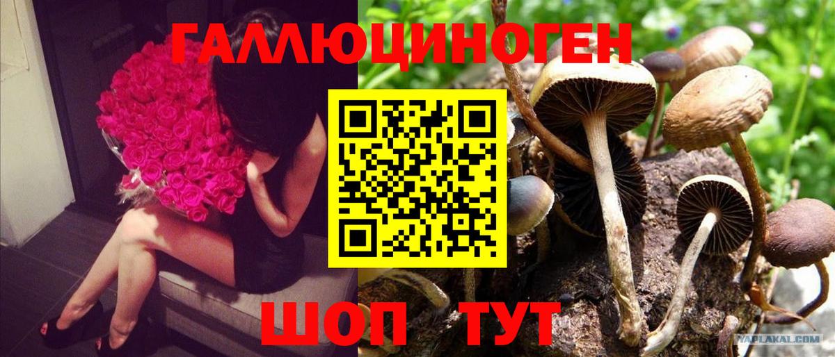Галлюциногенные грибы прущие грибы  Вход с VPN  Дзержинск 